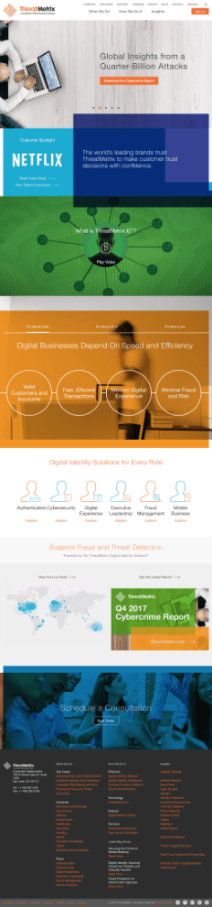 ThreatMetrix website